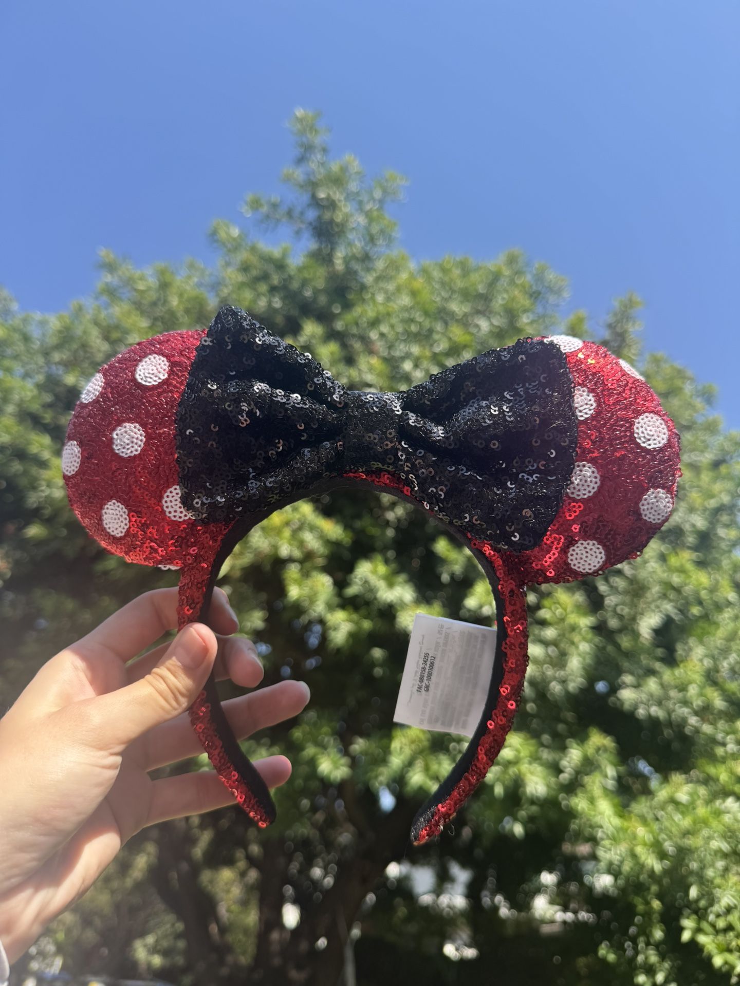 Disneyland Ears