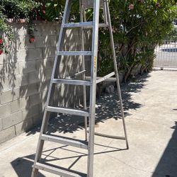 8 Foot Ladder