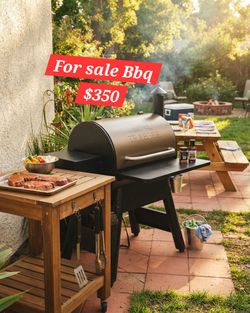 Grill traeger $350