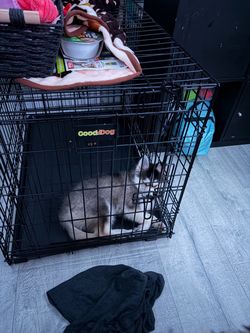 Large crate