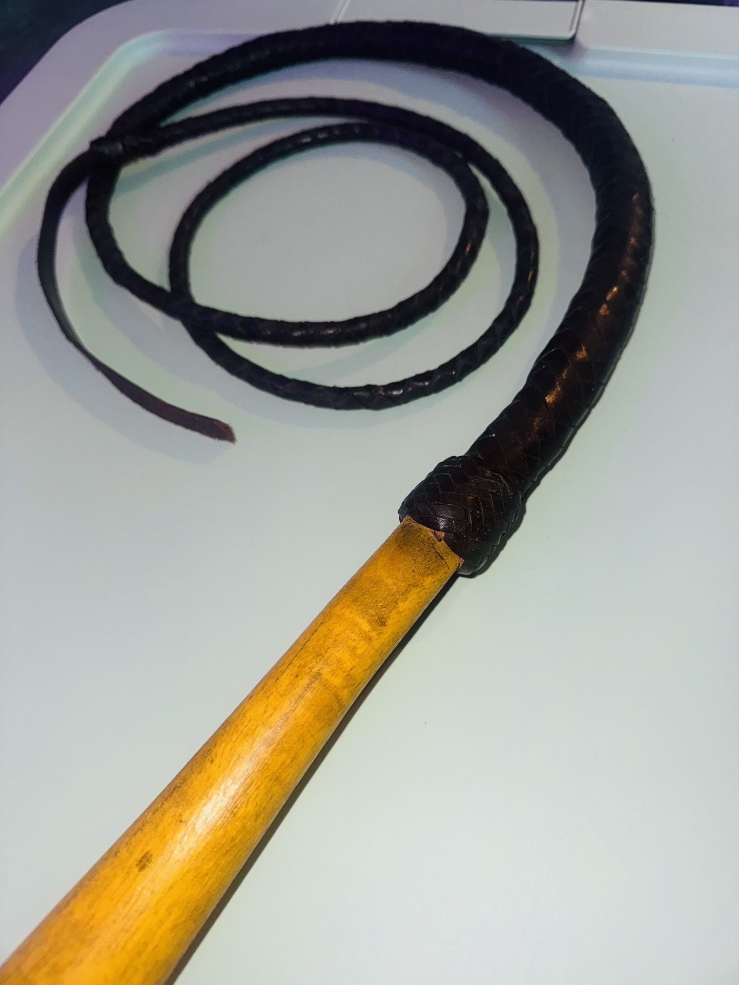 Bull Whip