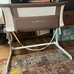Baby Delight Bassinet 