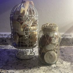 Sea Shell Decor 