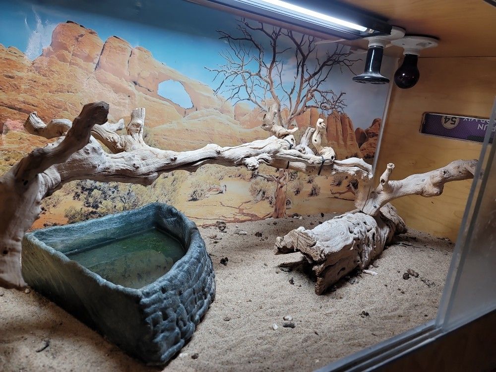 Reptile Cage