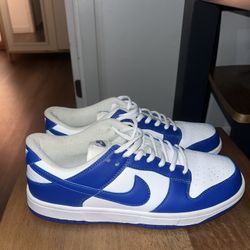 Nike Dunk Size 9.5