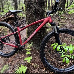 Schwinn 29.5 Inch Mountain Bike