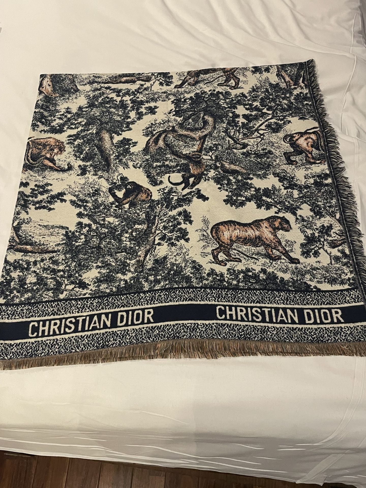 Cashmere/Silk Dior scarves