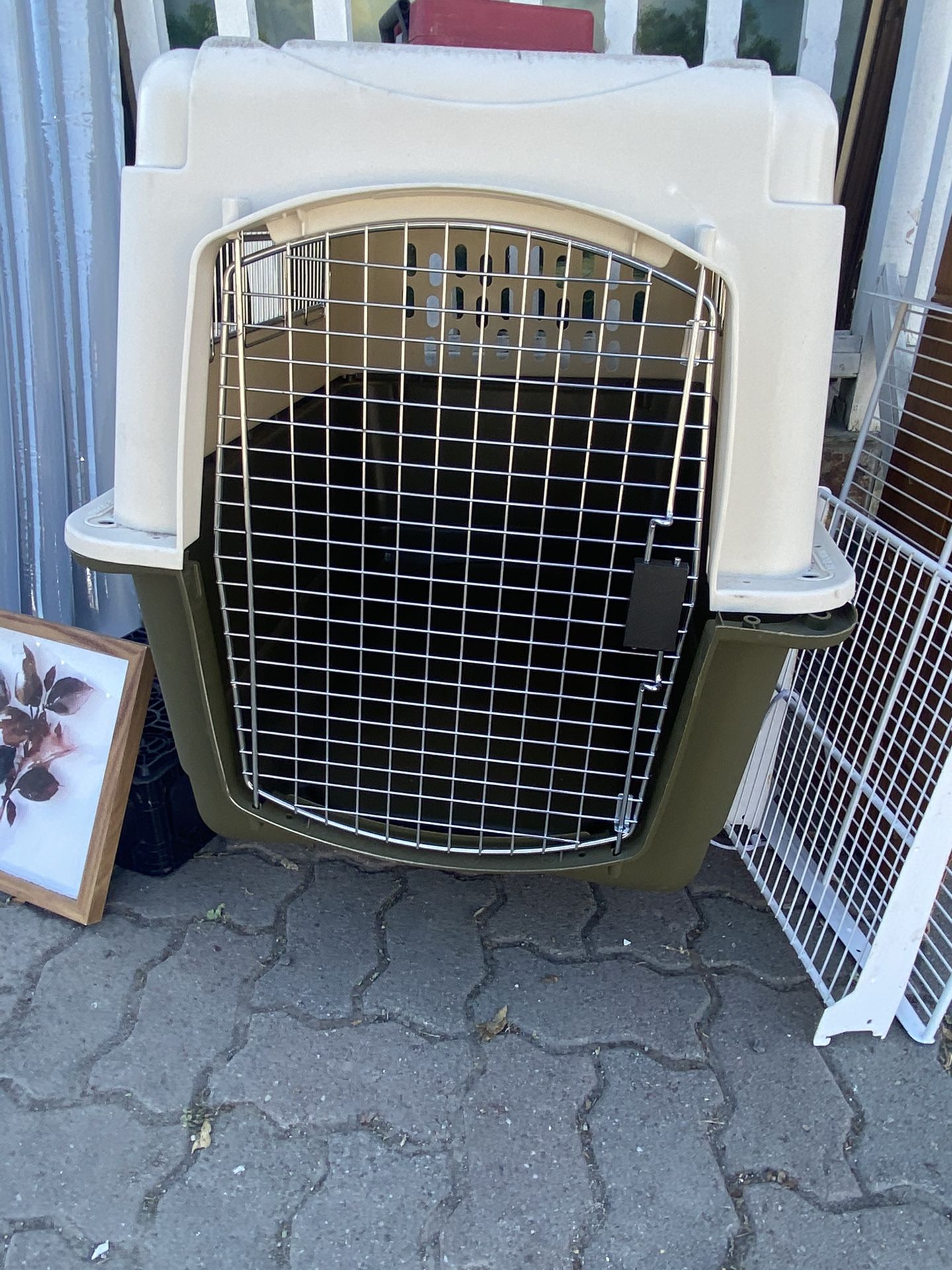 Large Dog travel crate