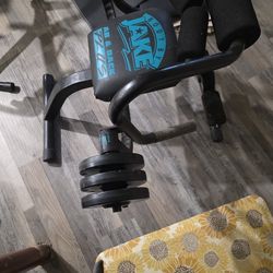 Ab And Back Plus Free