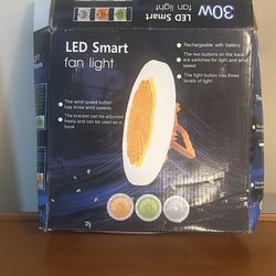 LED Smart Fan Light