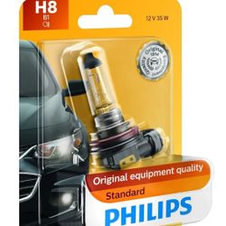 Headlight Bulb