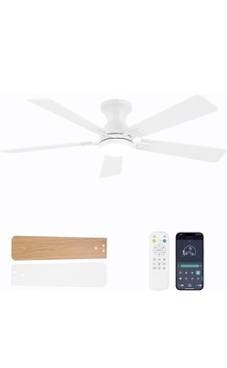 Ceiling Fans with Lights, 52 Inch