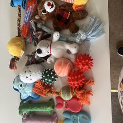 A Bundle Of 20 Dog Toys Never Used For A Small Or Medium Dog