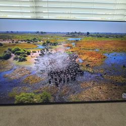 Hisense 65" Class - A65K Series - 4K UHD LED LCD TV - Smart TV 