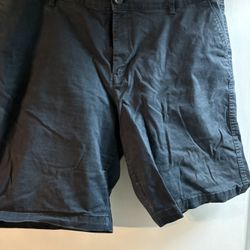 Amazon Essentials Black Shorts For Women Sz 18