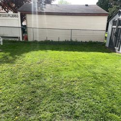 Landscaping 