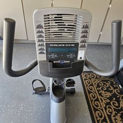 Gold's Gym Exercise Bike