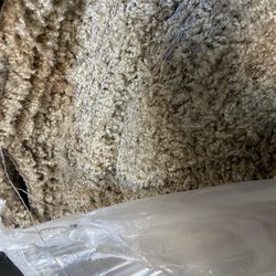 Brand New Carpet At Wholesale Prices 