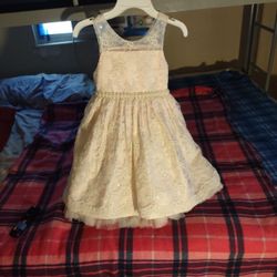 Princess Dress