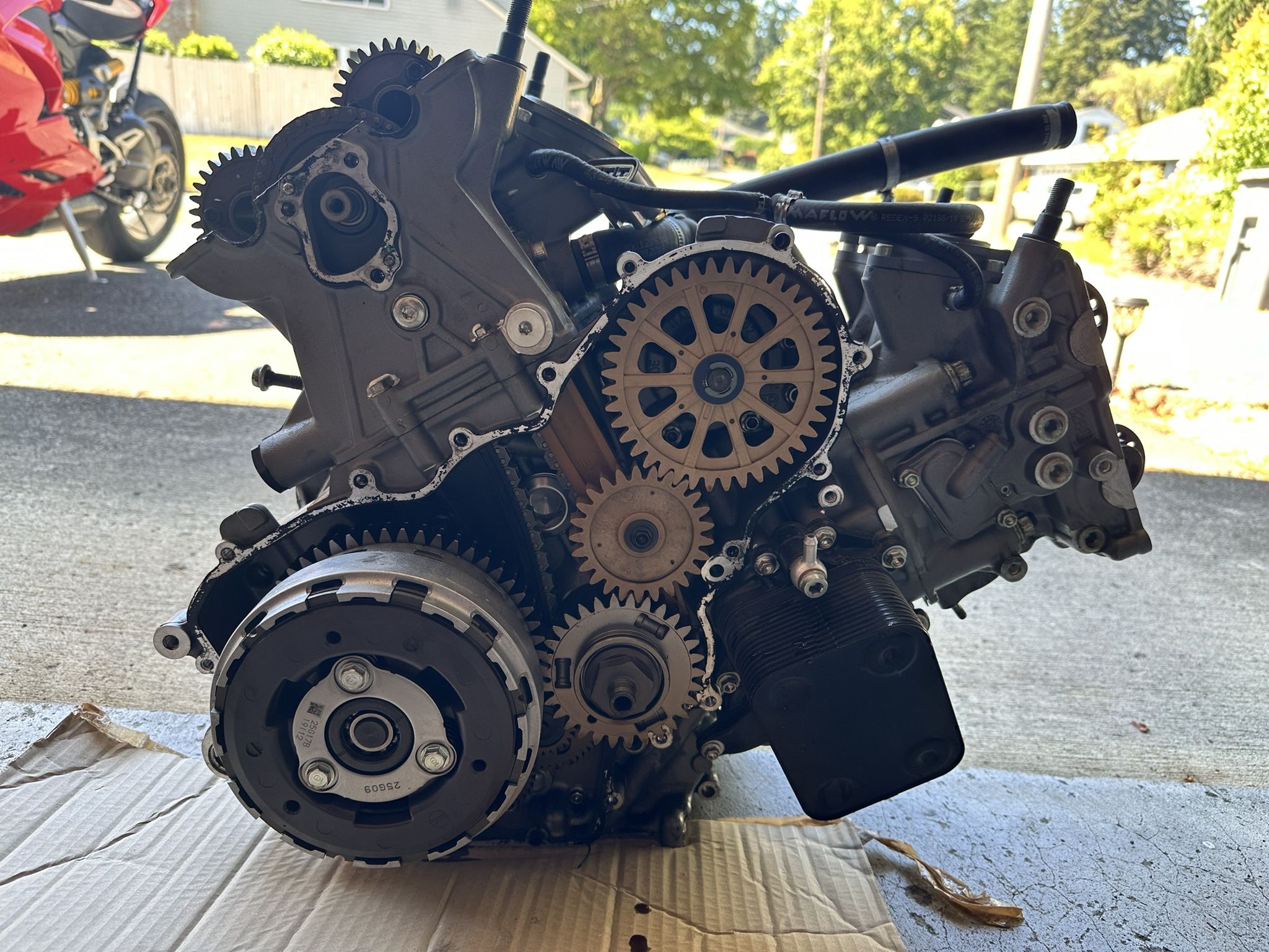 Panigale V2 Engine/motor