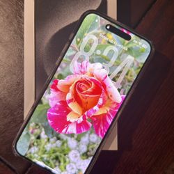 iPhone 15 Pro Max 1TB , Unlocked Very Clean 