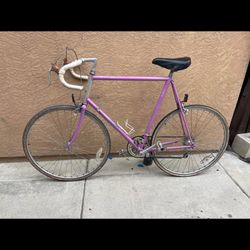 Classic Raleigh 64cm road bike good conditions maybe needs tires soon asking $125 