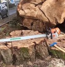 5’ Long Oregon Chainsaw Bar & Chain