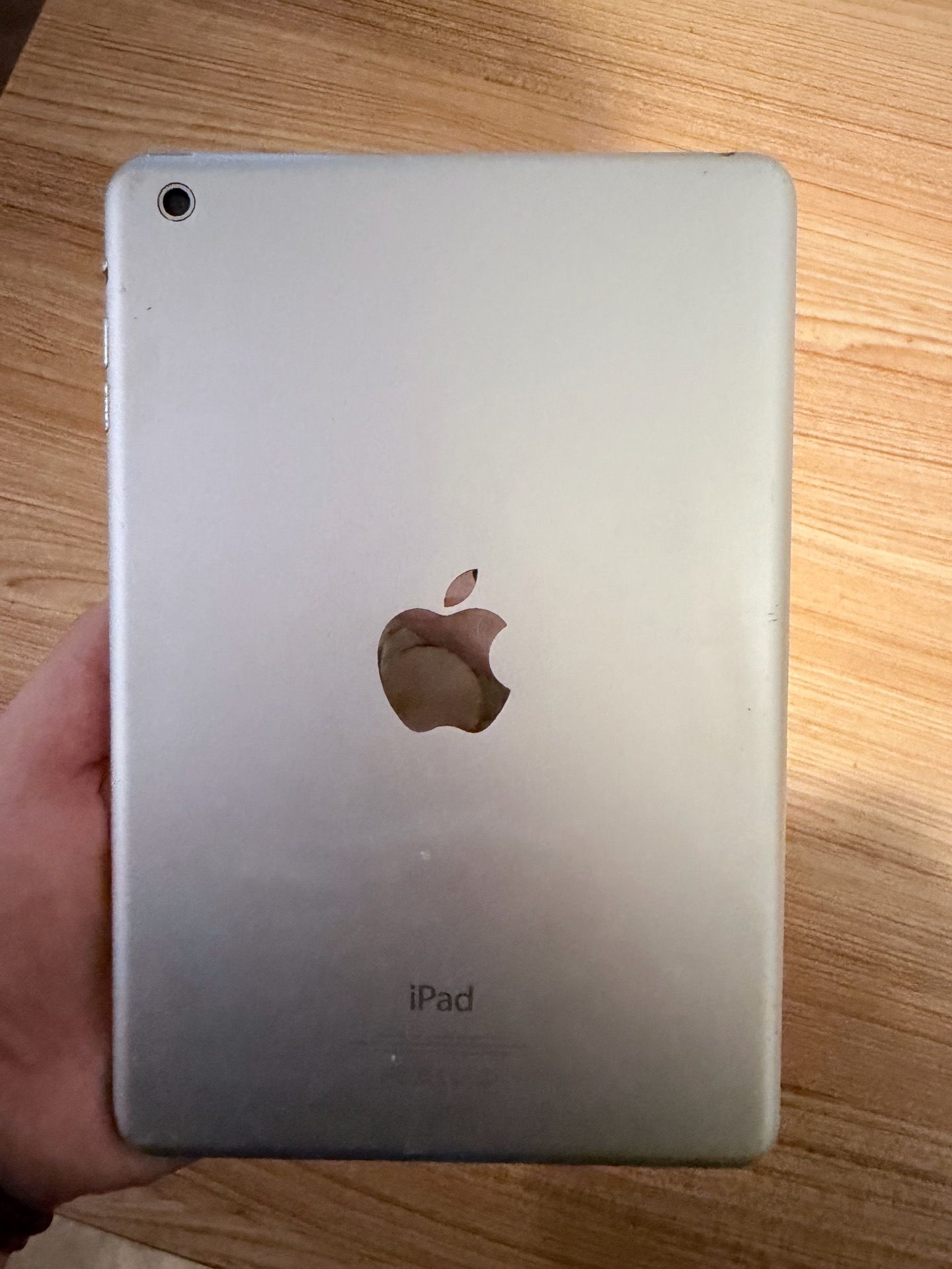 Mini iPad