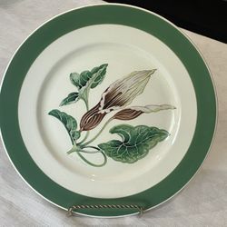 Vintage Myott Molly O'Day Art Deco botanical plate. 10” Signed By A.C. Williams