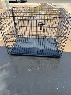 Kennel