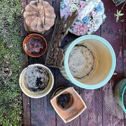 Free Garden Stuff