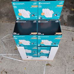 Ecosmart LED light bulbs