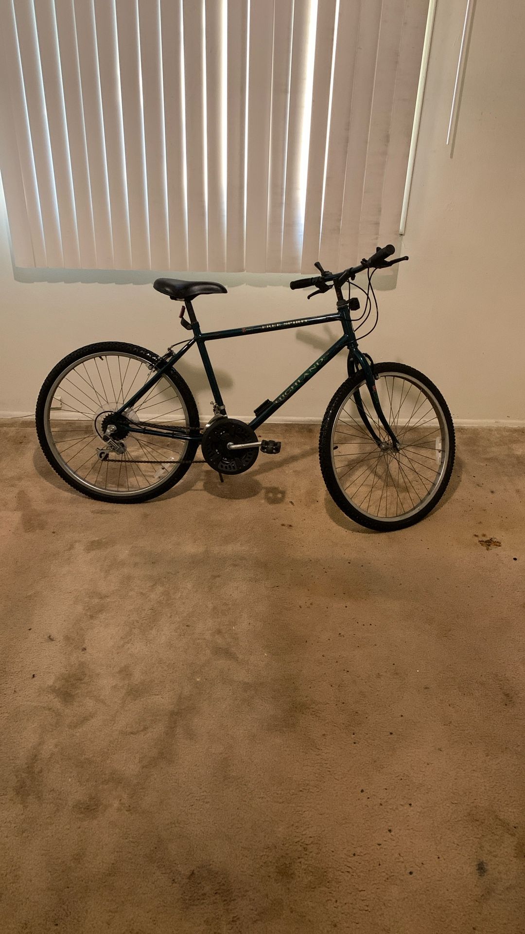 Free spirit  FS 15 Speed Bike