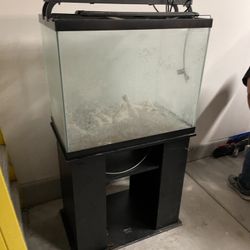 60 Gal Fish tank