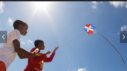 Kite 🪁 For Sale