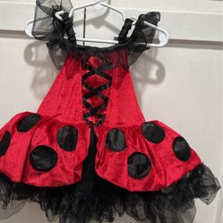 Lady Bug Costume Size 2T No Wings