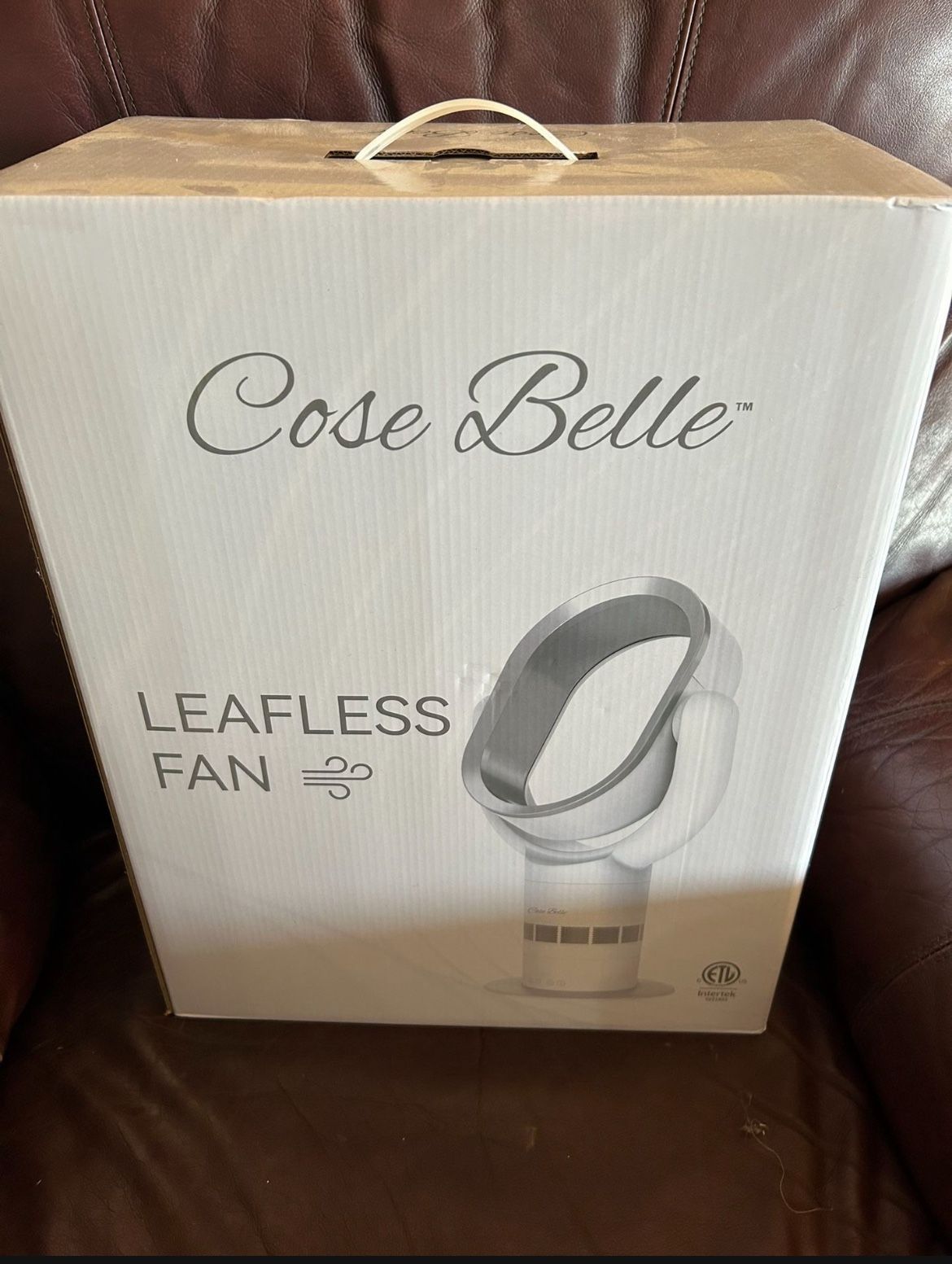 Brand New Leafless Fan
