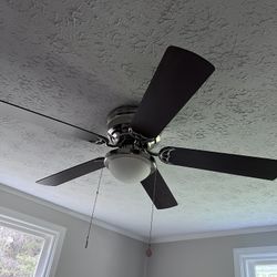 Ceilings Fans 