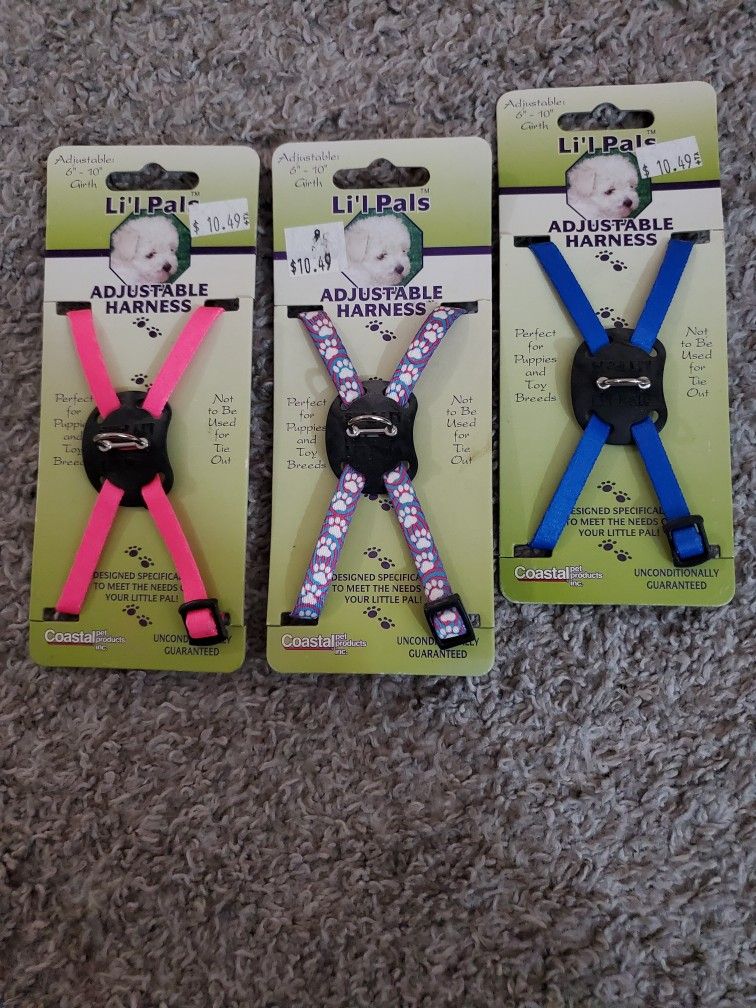 2000$ Worth Of Dog Leashes Collars Outfits Harnesses Etc For 600$