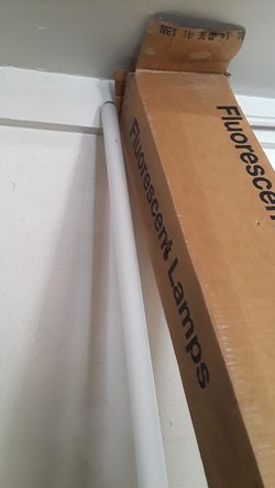 fluorescent lamps