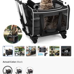 Pet Carrier 