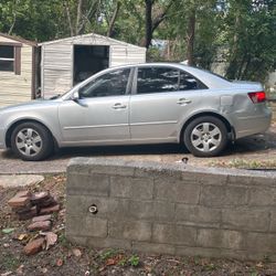 Needs New Home