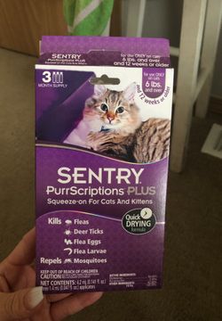 One dose of flea medication, flea furniture spray, flea & regular shampoo