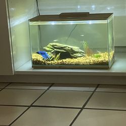 3 Gallon Fish Tank 