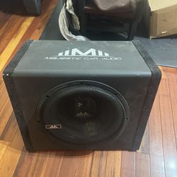 12 Inch Subwoofer