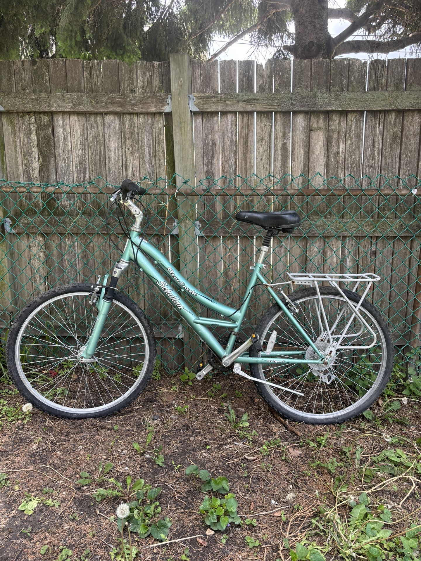 Schwinn Bike