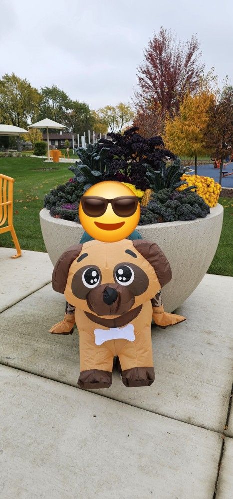 Halloween Costume Ride On DOG