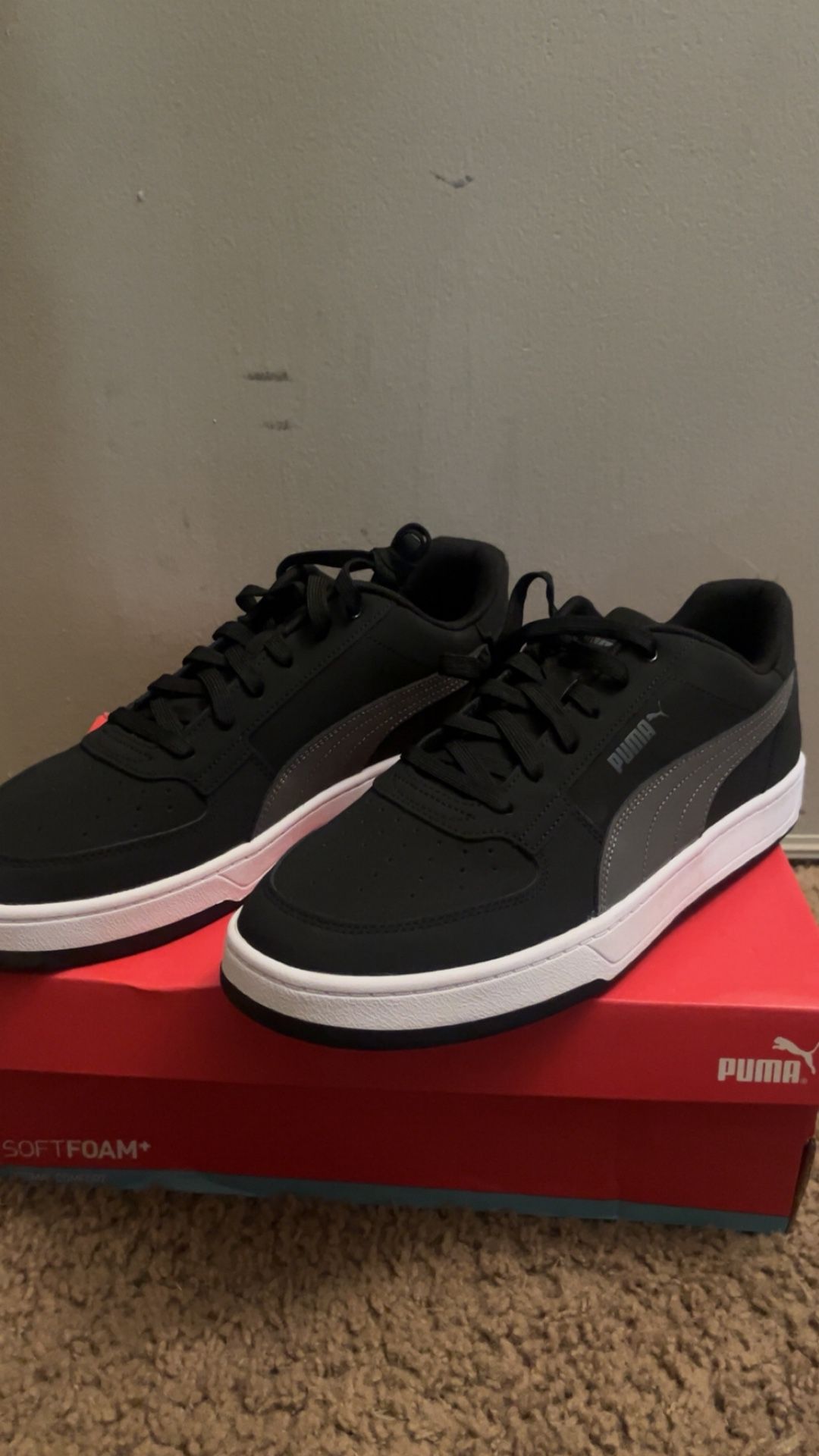 Pumas