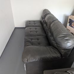 Two Leather Couches