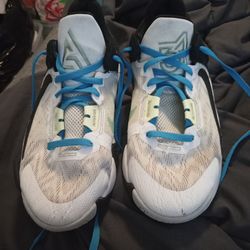 Nike Giannis Immortality 2 Shoes 